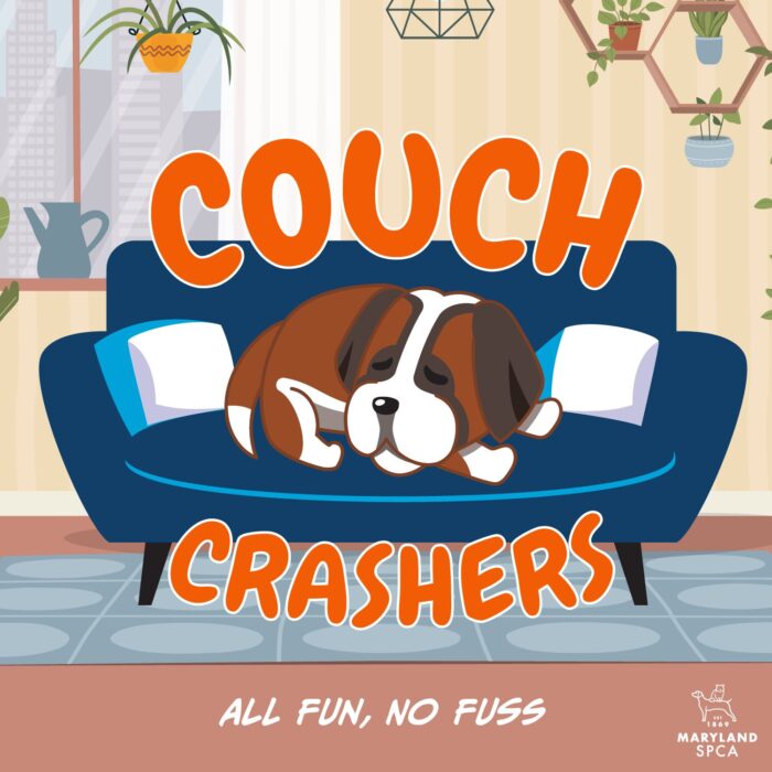 Couch Crashers Launch