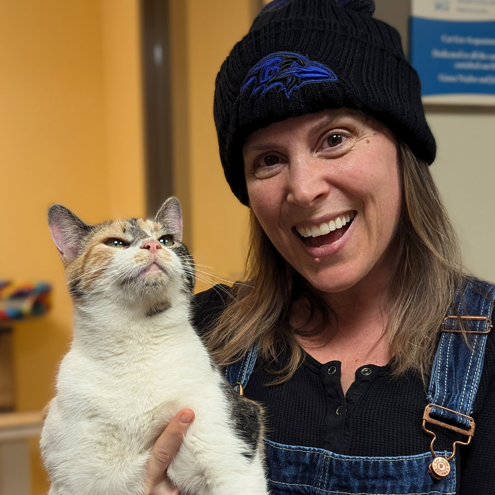 Volunteer in Raven's hat holding white shelter cat