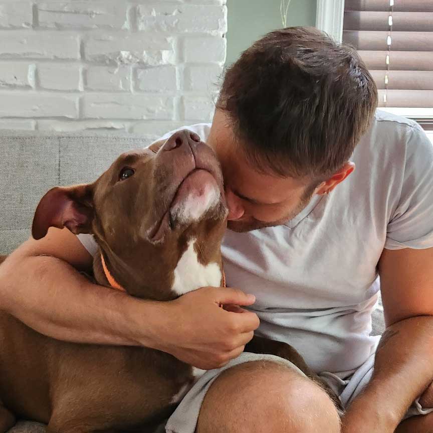Foster parent snuggling with brown pitbull