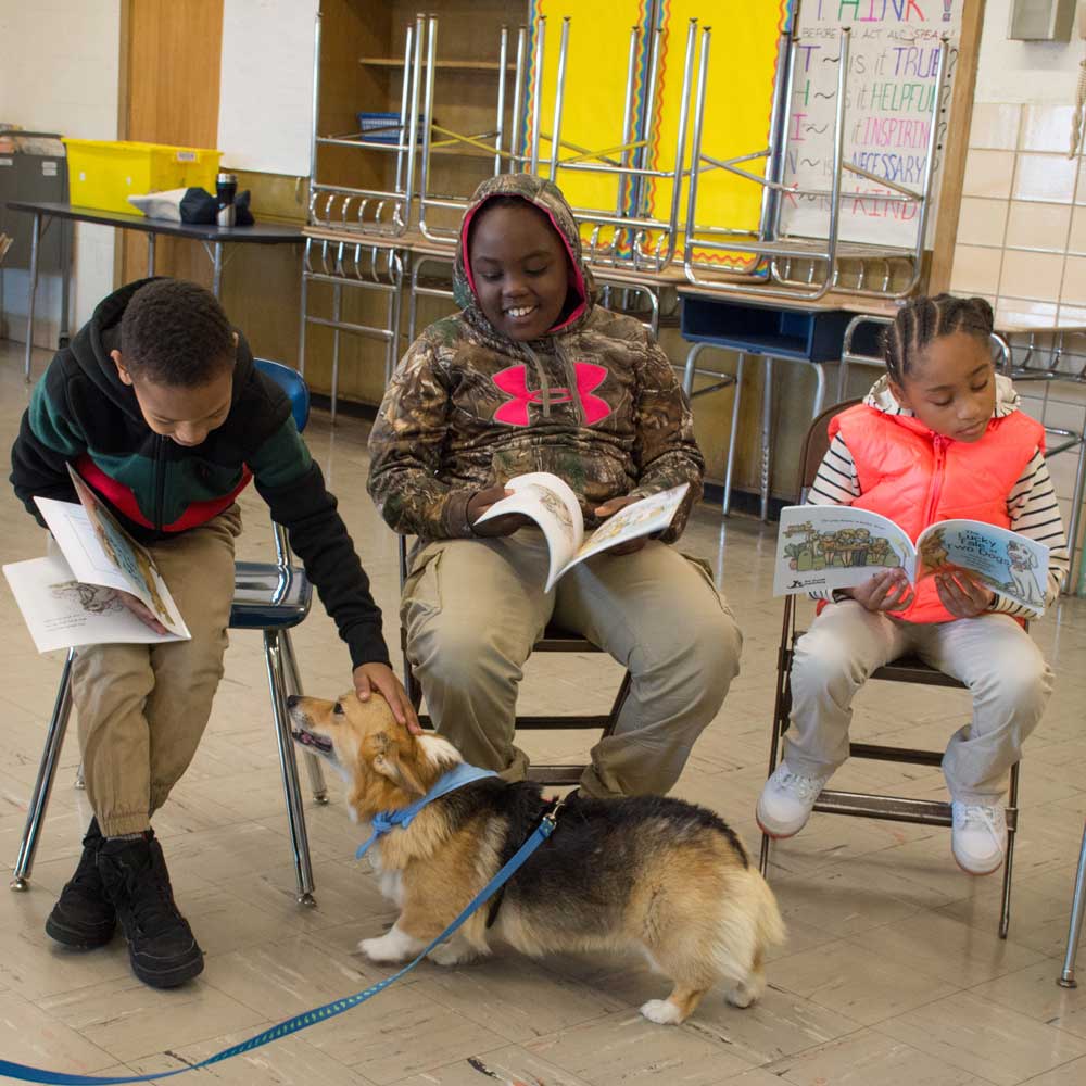 Students reading and petting dog