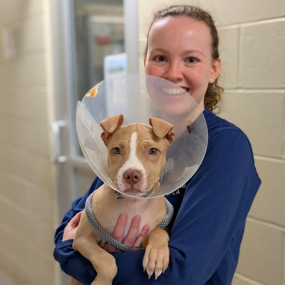 Maryland SPCA staff member holding Spayed Neutered puppy