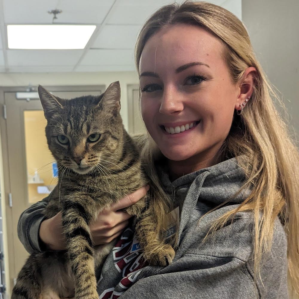 Volunteer holding brown shelter cat