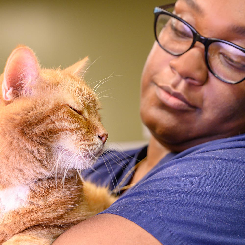 MD SPCA Staff holding orange cat