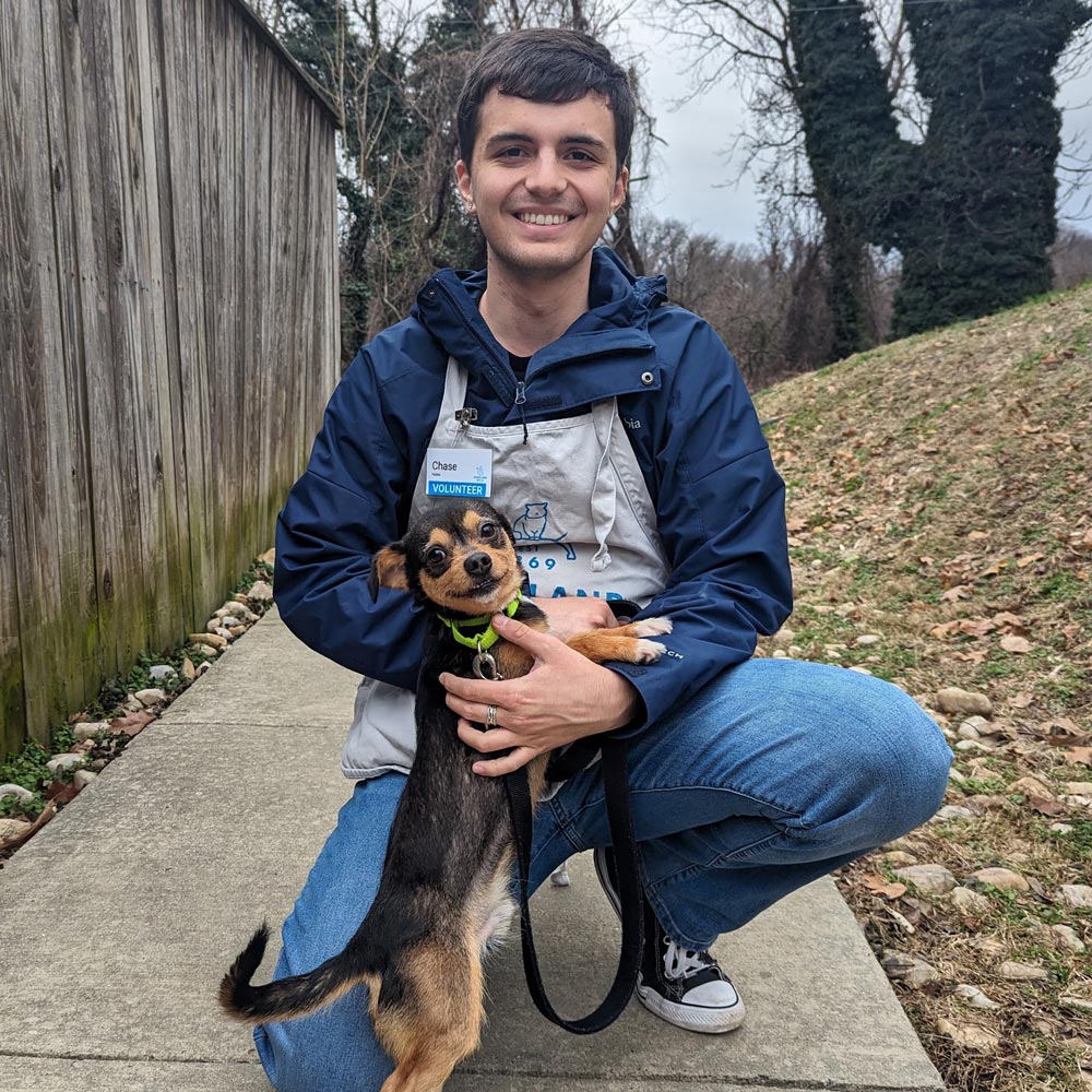 Volunteer walking small Chihuahua.