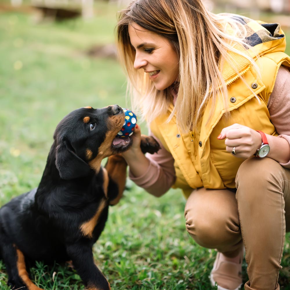 Person playing with puppy