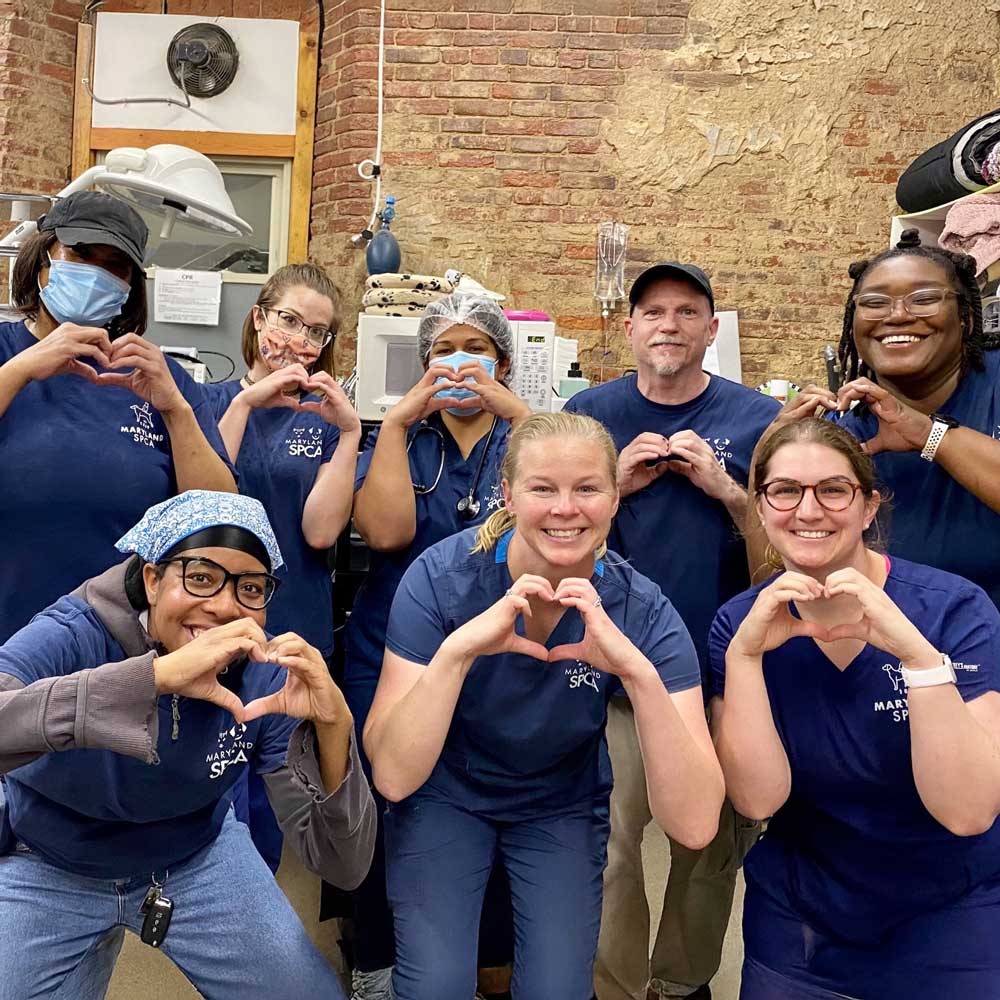 Vet techs making heart symbols with hands