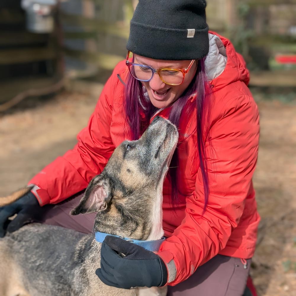 Volunteer petting shelter dog outside