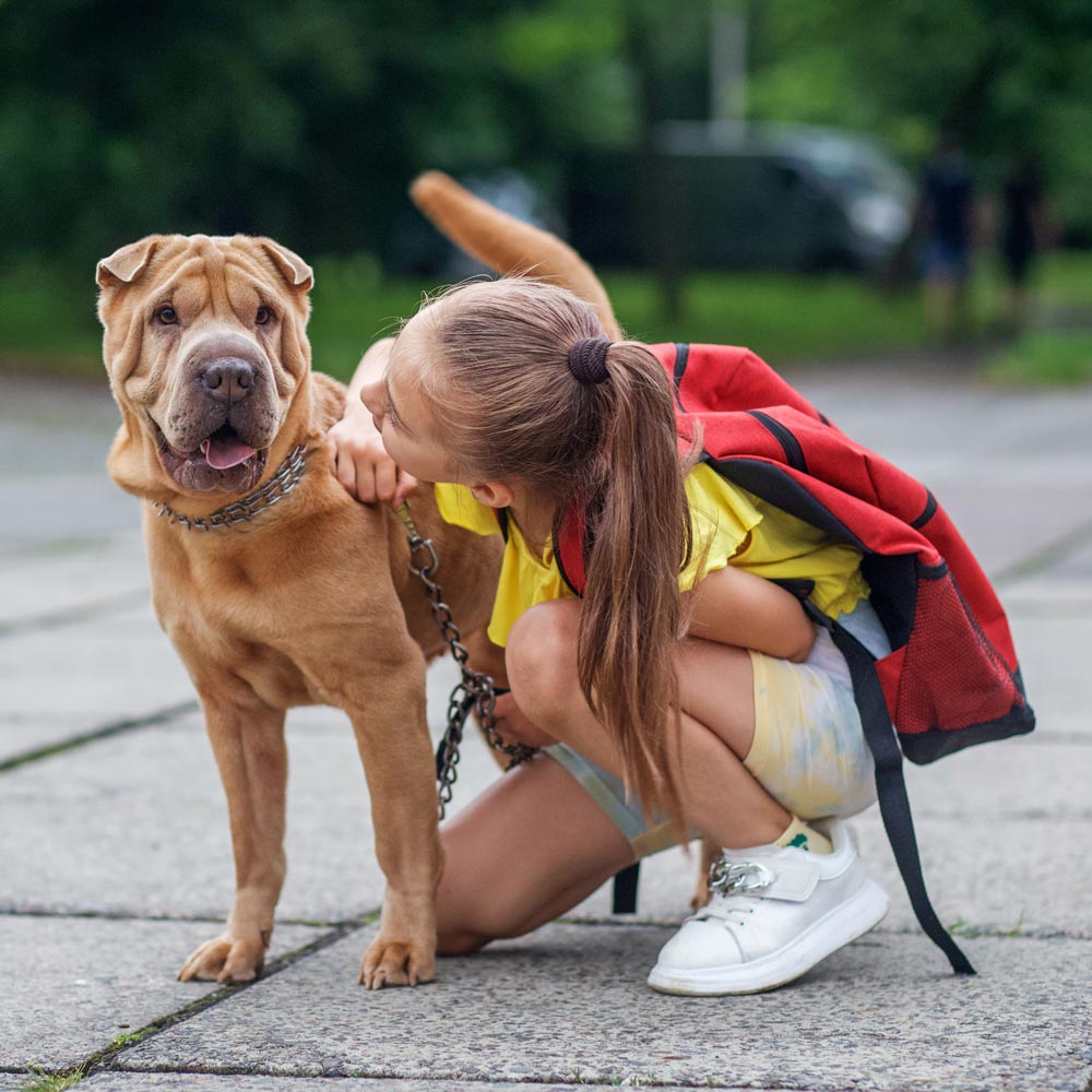 Young girl with tan dog on leash