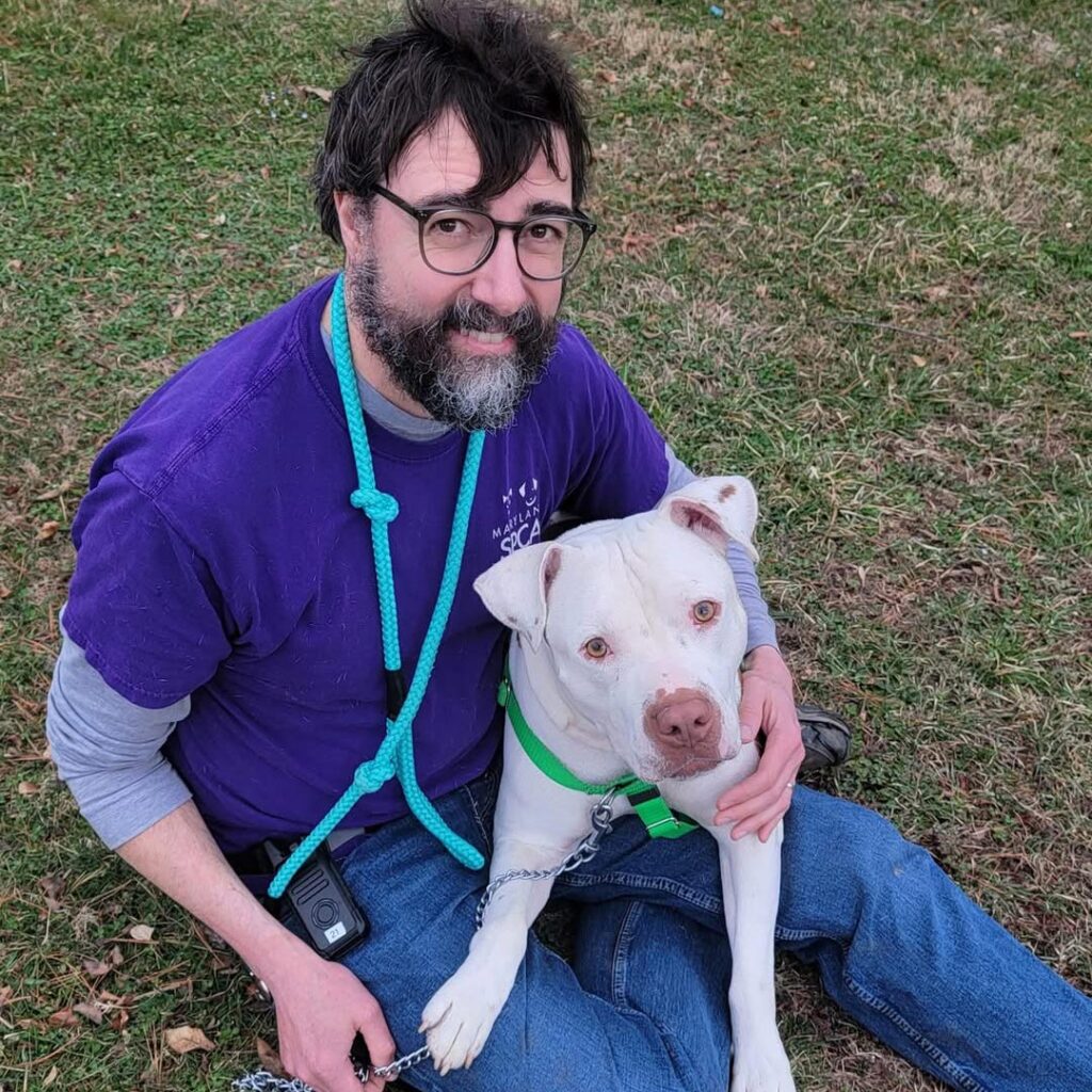 Volunteer snuggling with white pitbull