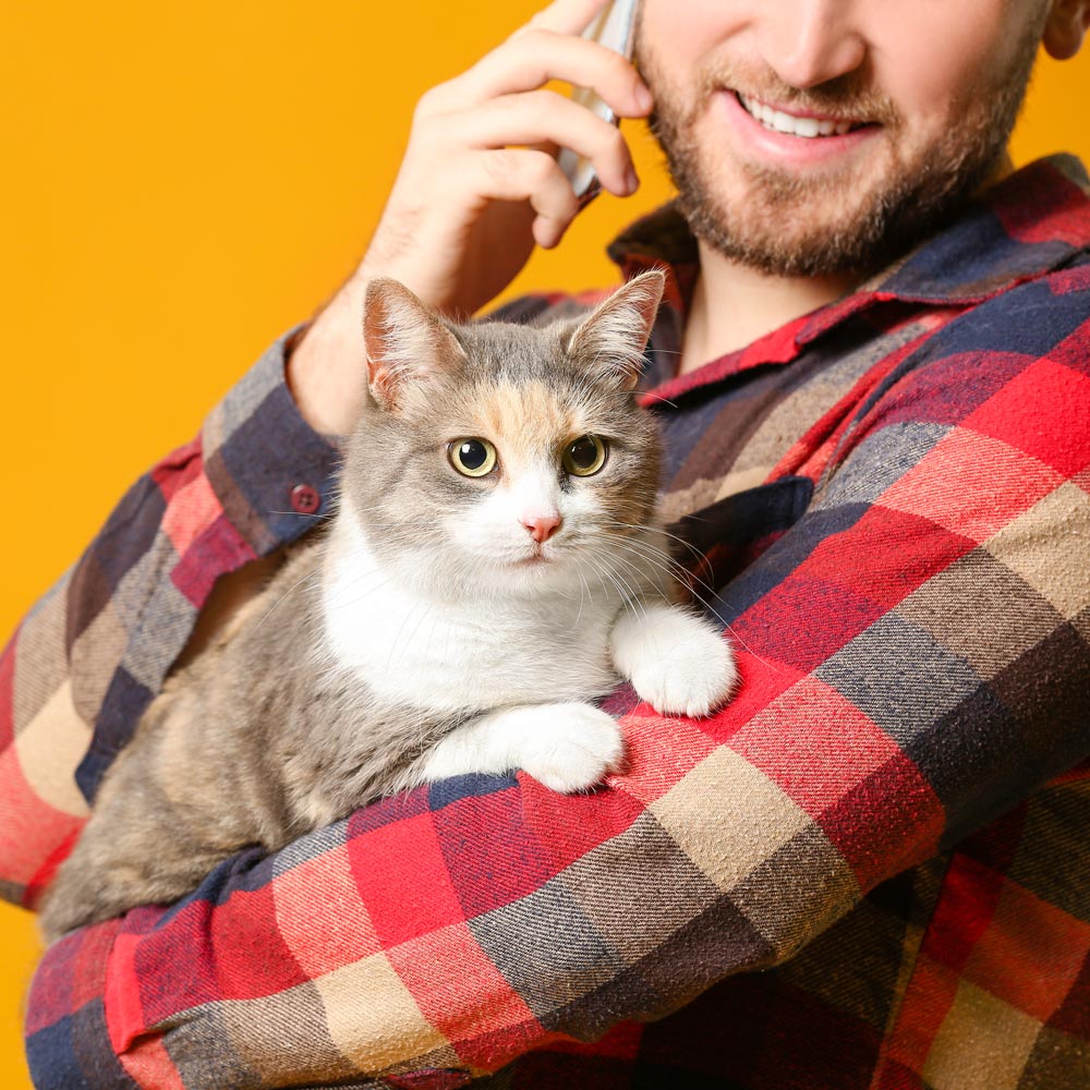 Foster parent on phone with Foster department holding white and gray cat
