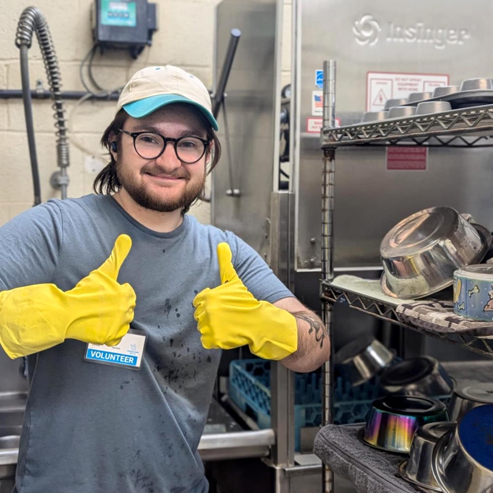 Volunteer giving two thumbs up while cleaning pet food bowls