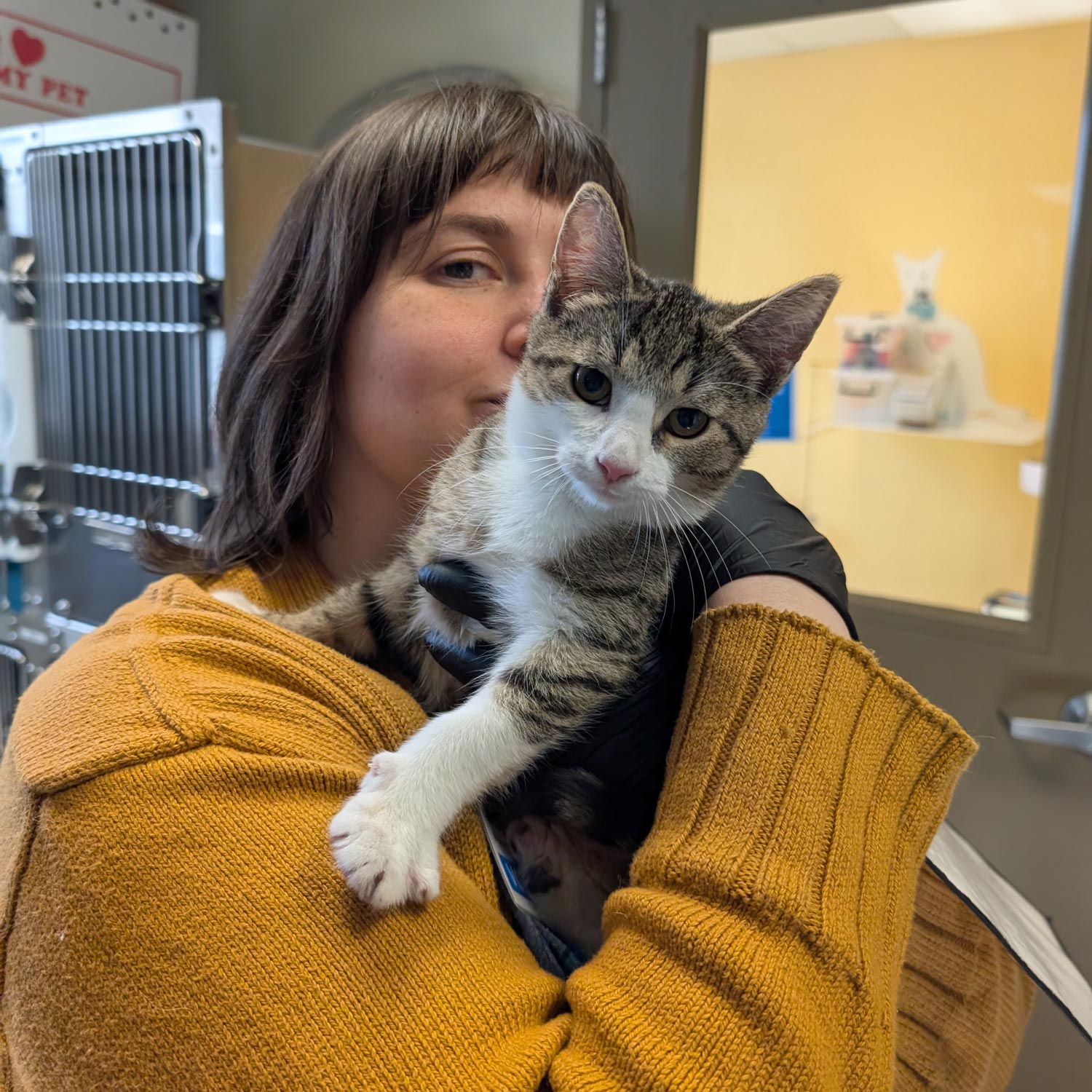 Maryland SPCA volunteer with white and tan shelter cat