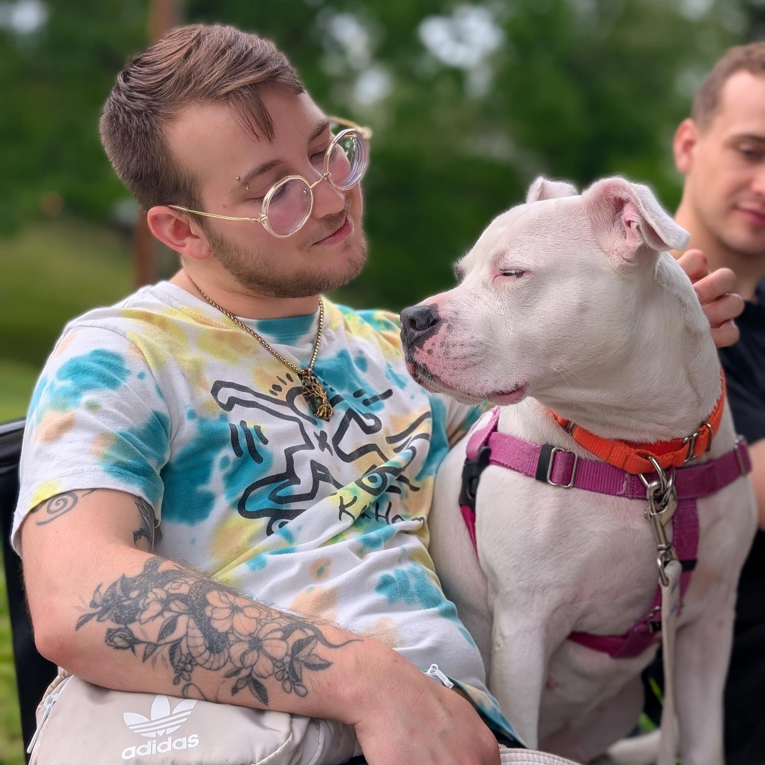 Maryland SPCA volunteer with white shelter pitbull