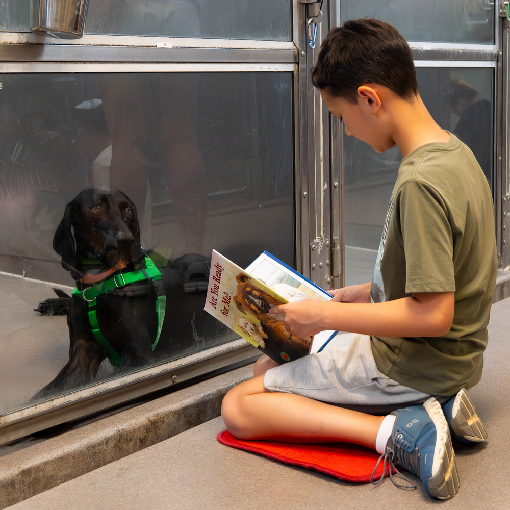 Student reading to shelter dog during Wagging Tales program
