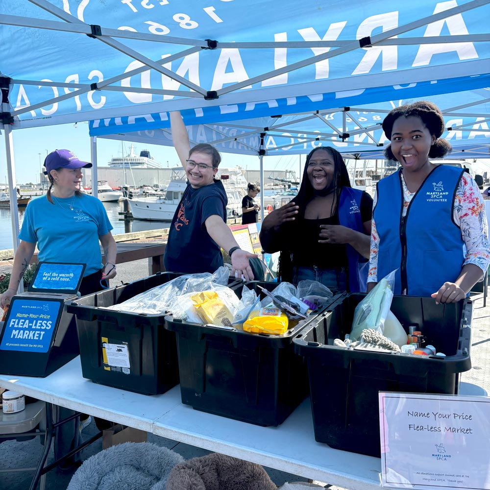 Maryland SPCA staff and volunteers at event on the Baltimore Harbor