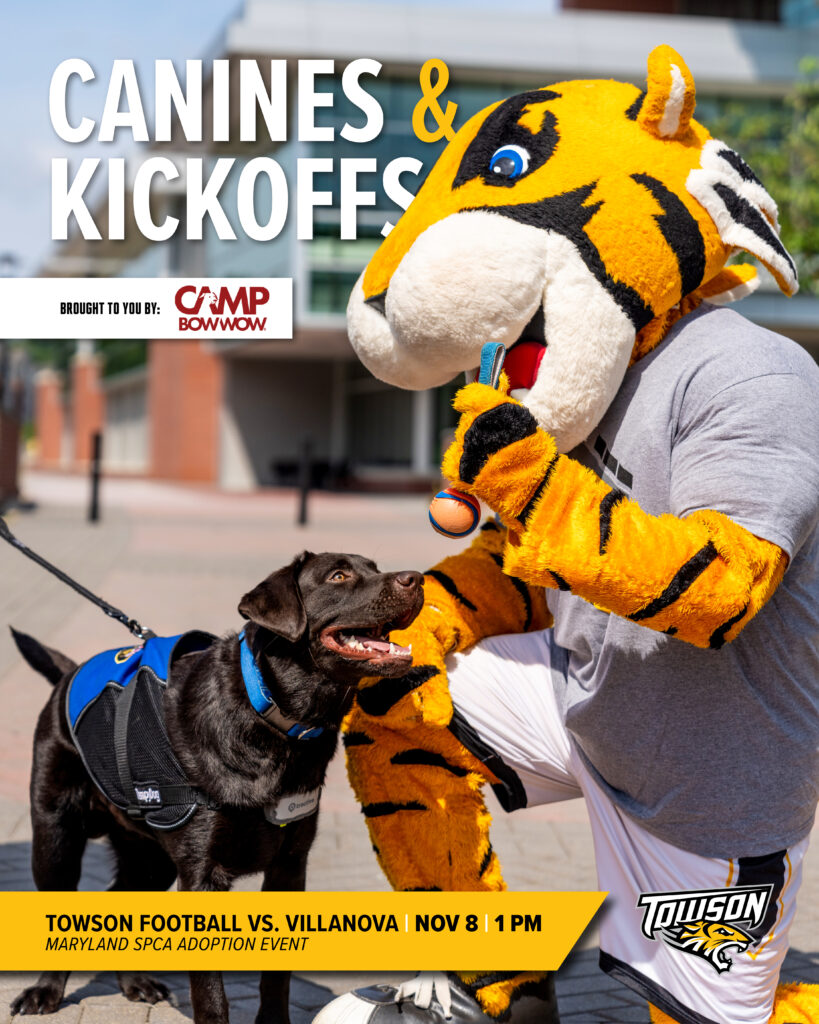 Flyer for Towson University Canine's & Kickoffs Event