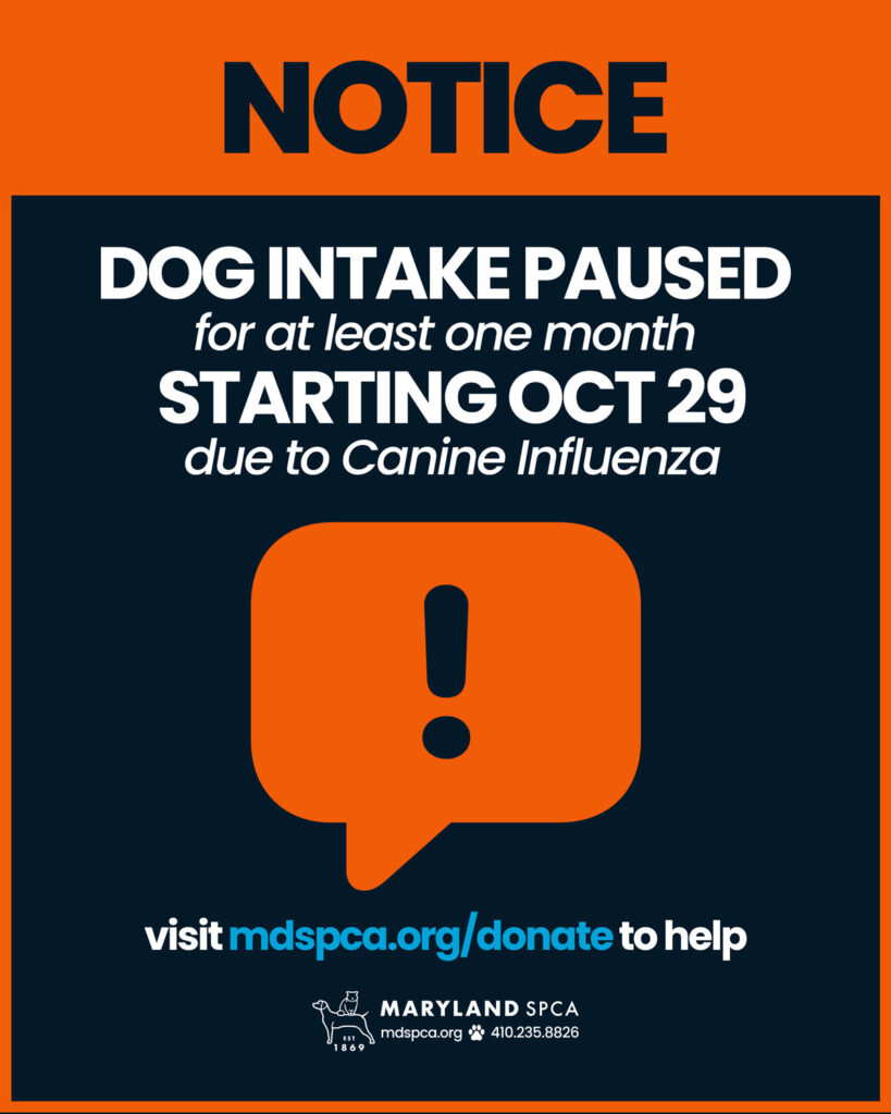 Notice: dog intake paused for at least one month starting oct 29 due to Canine Influenza