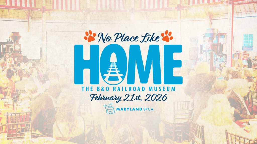 No Place Like Home promotional image