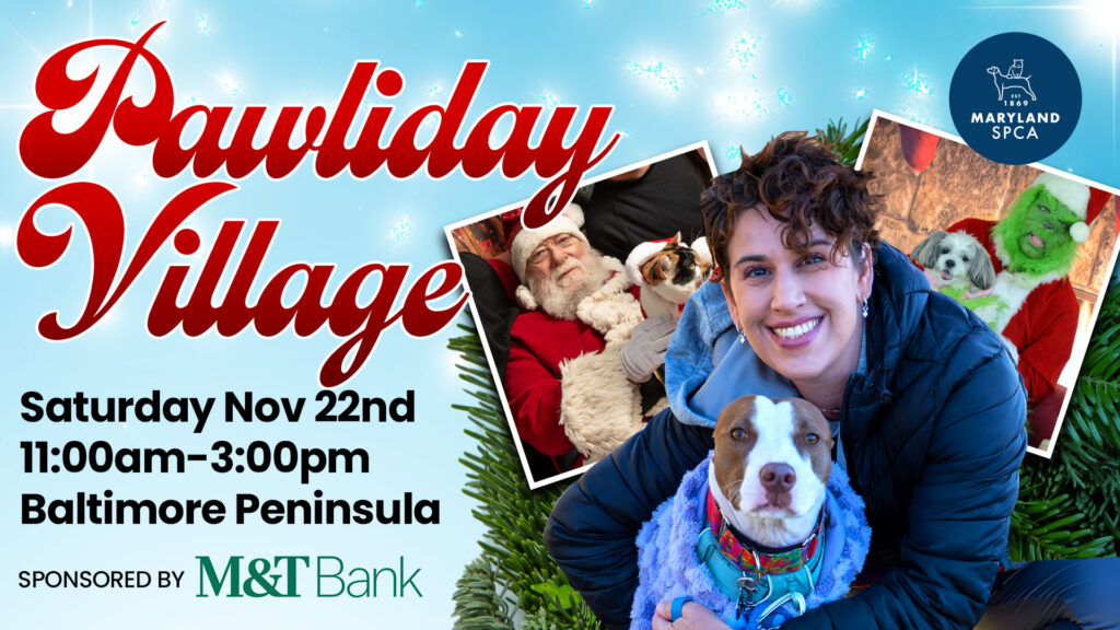 Pawliday Village Promotional Graphic with holiday themed pictures of shelter pets and volunteers