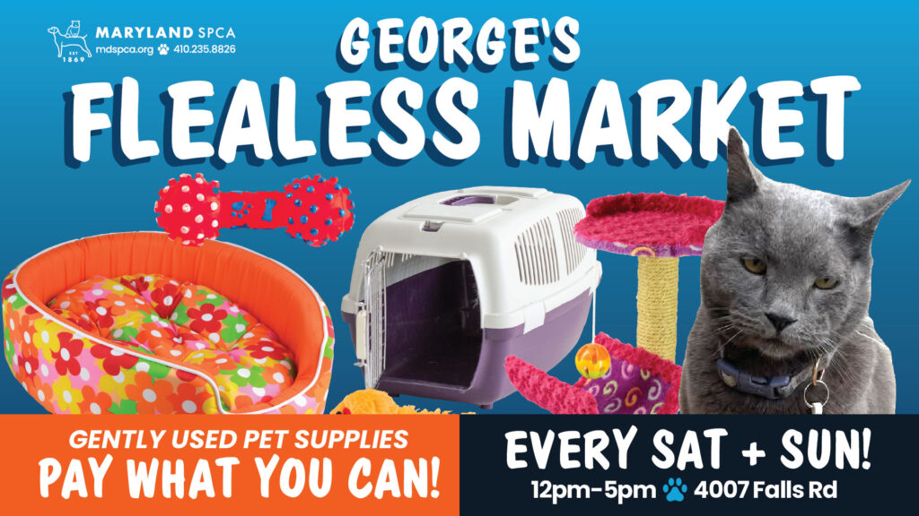 promotional graphic for gently used pet supplies sale
