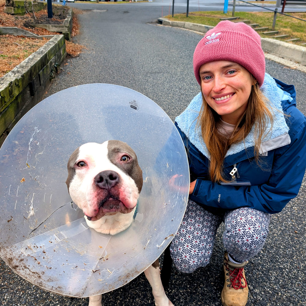 Blonde woman with shelter dog preparing to go to the vet