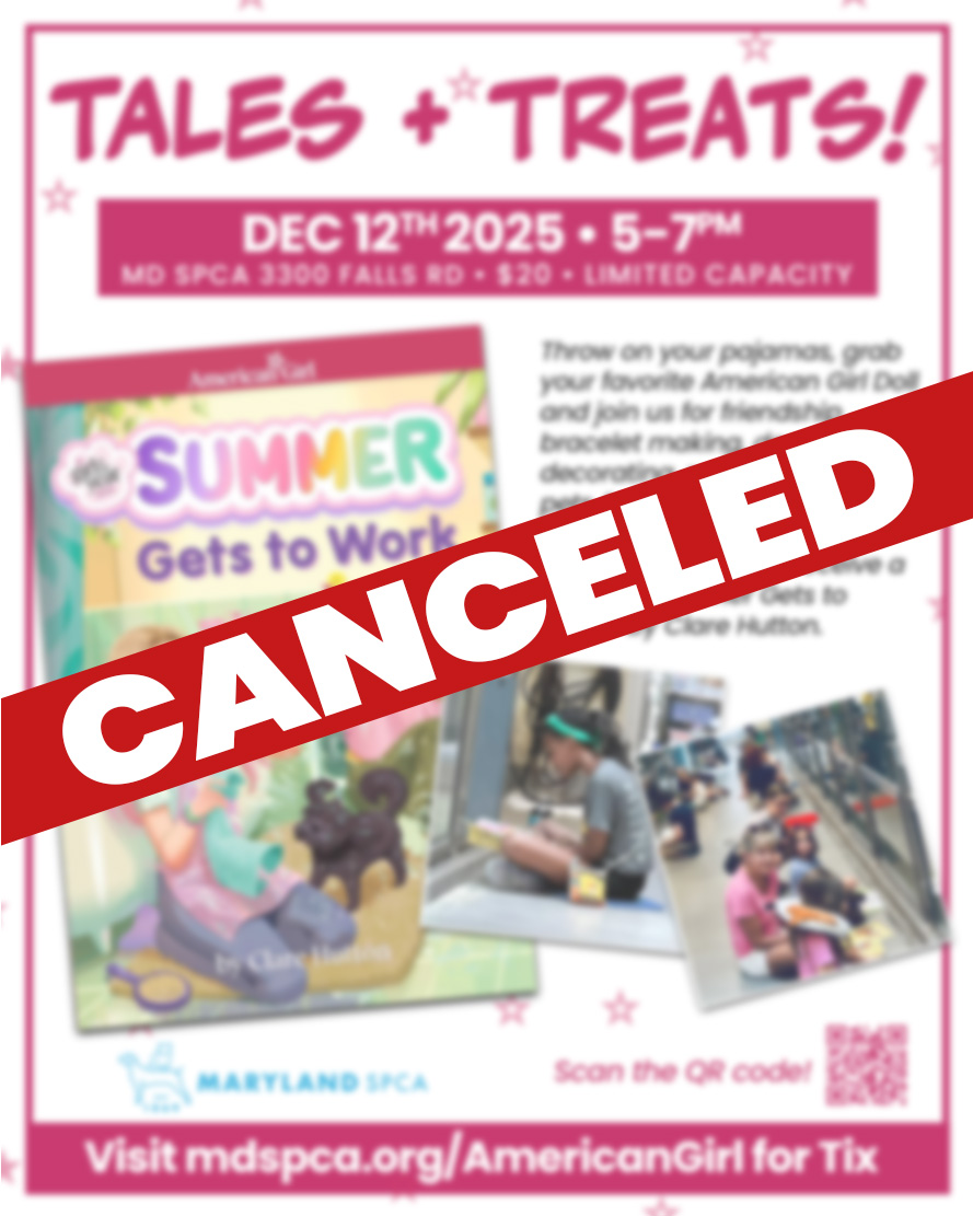 American Girl 2025 social canceled
