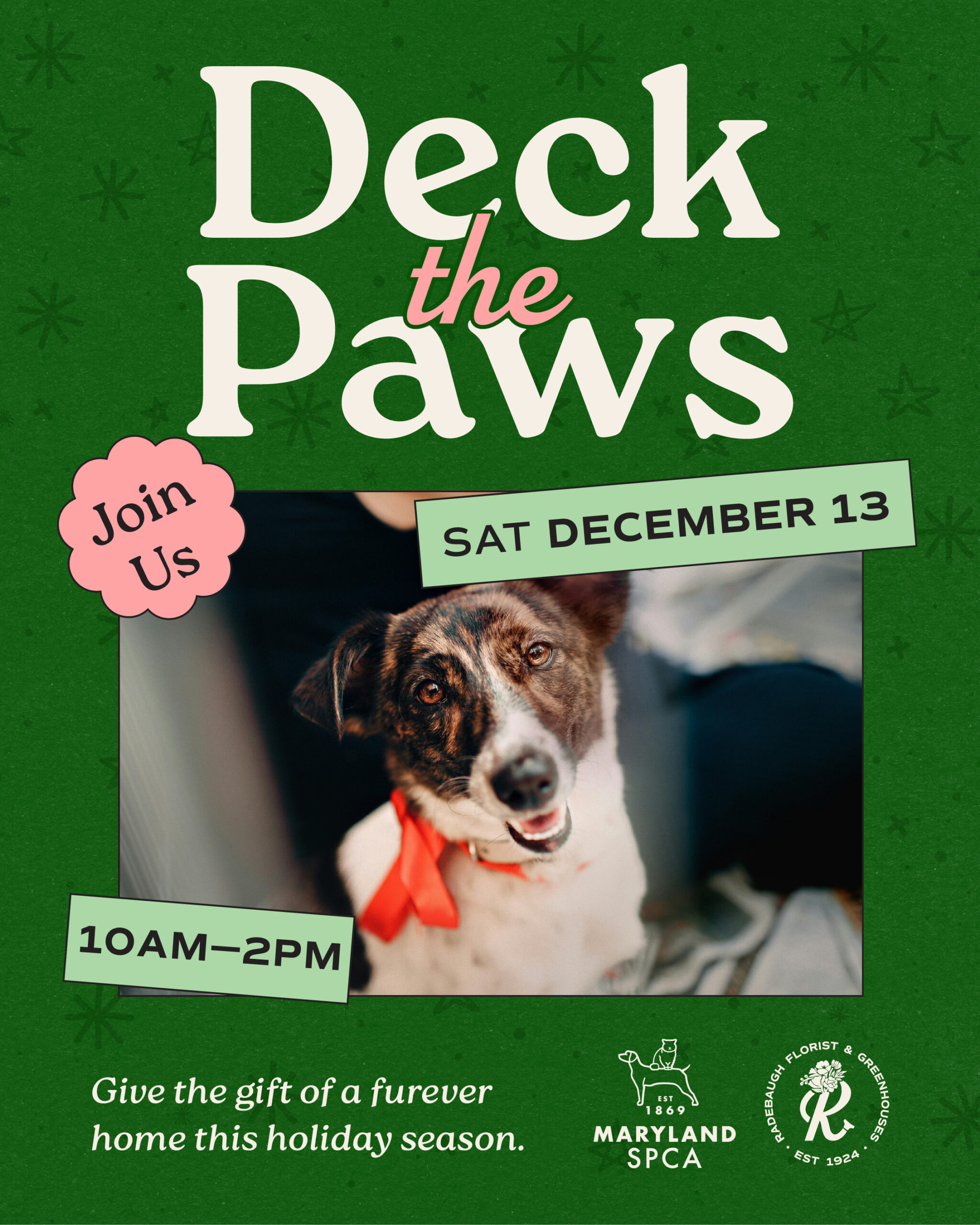 Deck the Paws promo graphic