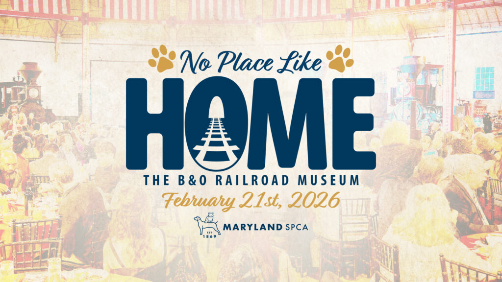 No Place Like Home Gala Promotional Graphic