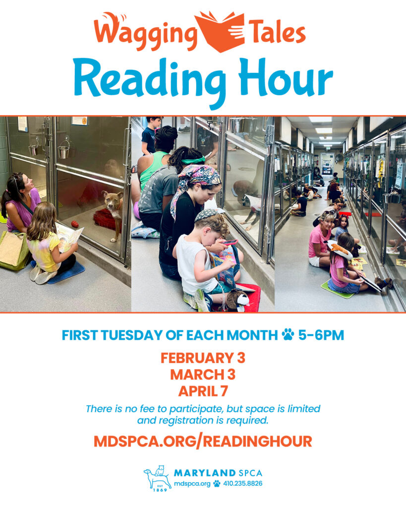 Wagging Tales Reading Hour Spring 2026