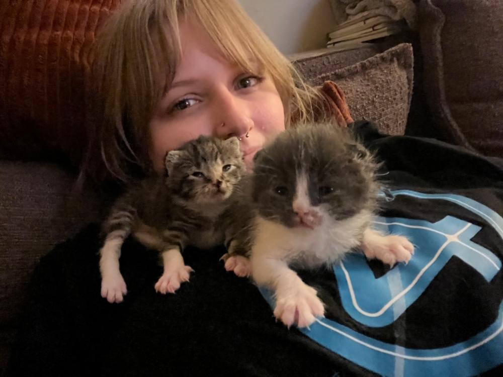 Person with blond hair with two kittens on their chest