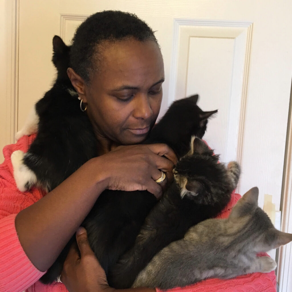 woman in pink shirt with armful of kittens