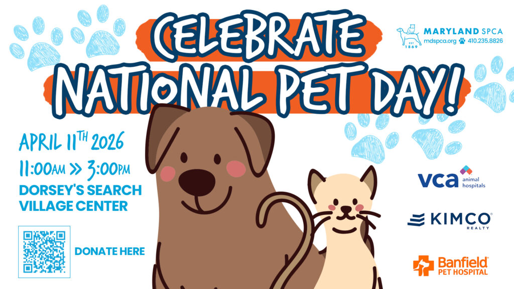 National Pet Day April 11th Event promotional graphic