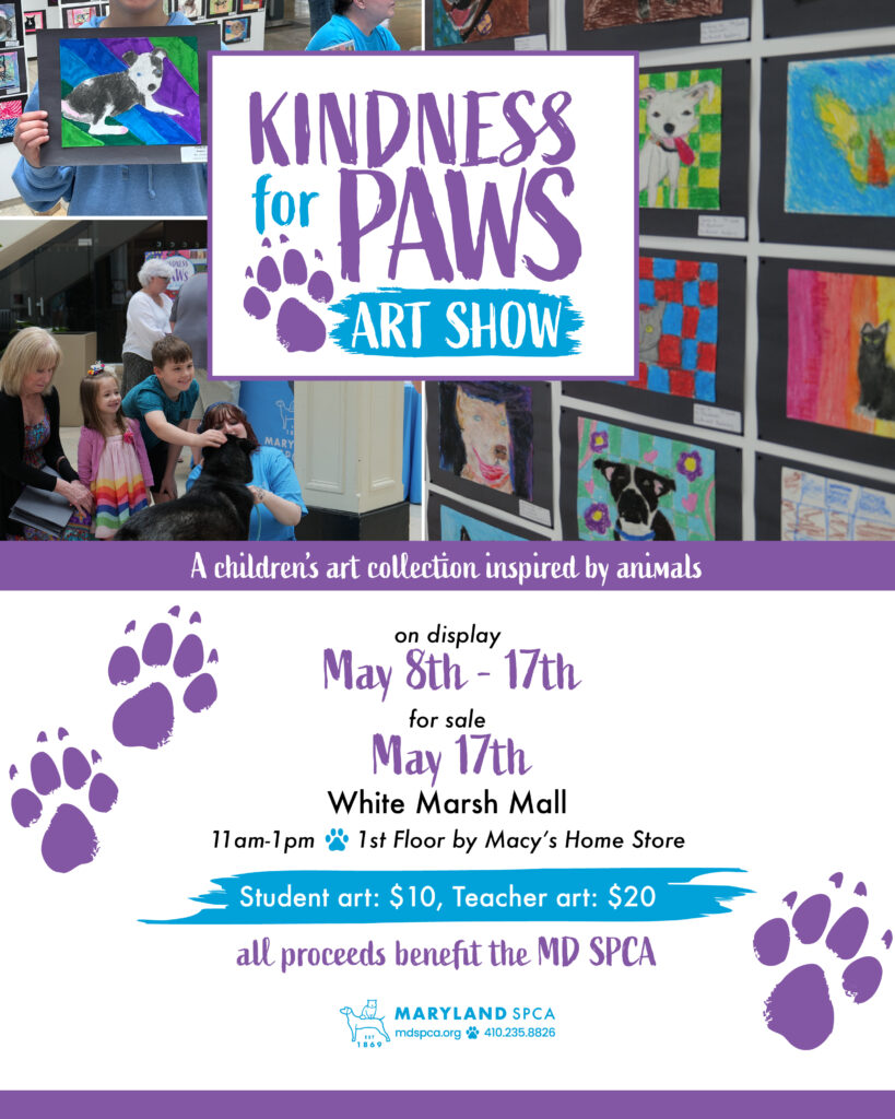 Kindness For Paws student Art Show for Shelter Animals at White Marsh Mall
