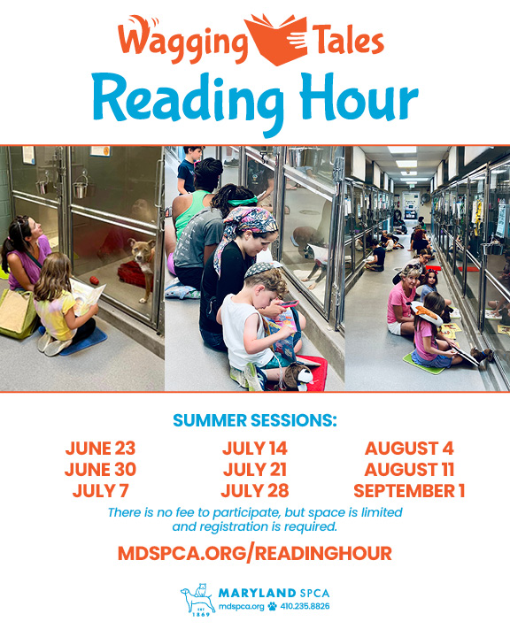 ReadingHour Summer 2026