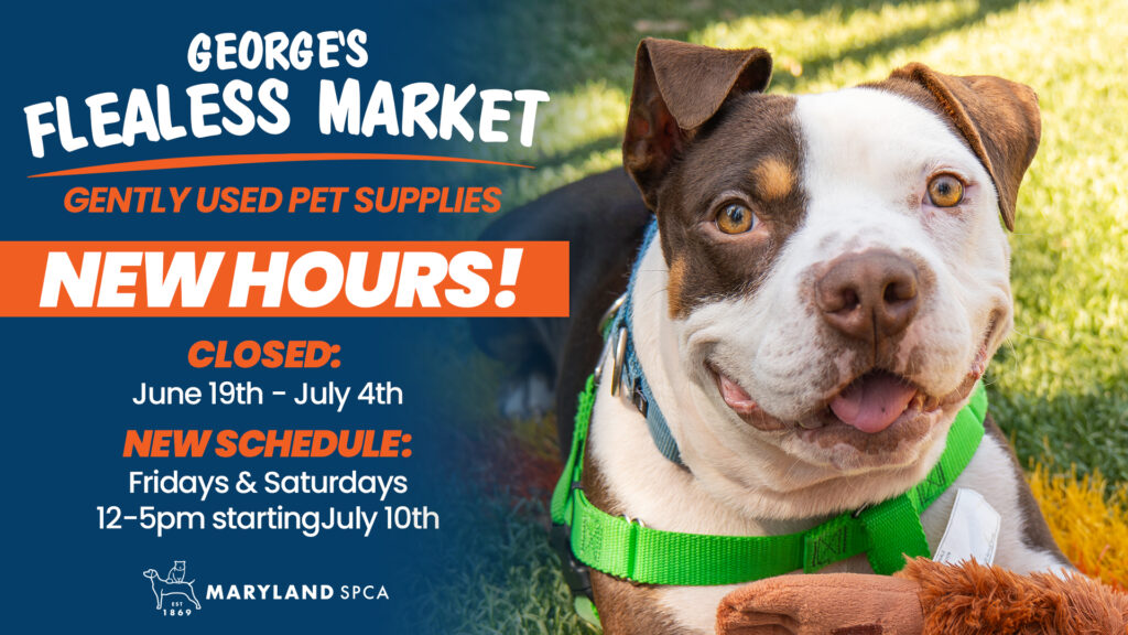 Gently used pet supplies at a pay what you can scale