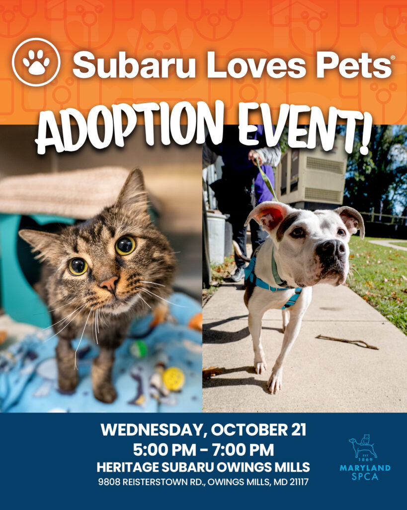 Subaru Adoption Event 102126